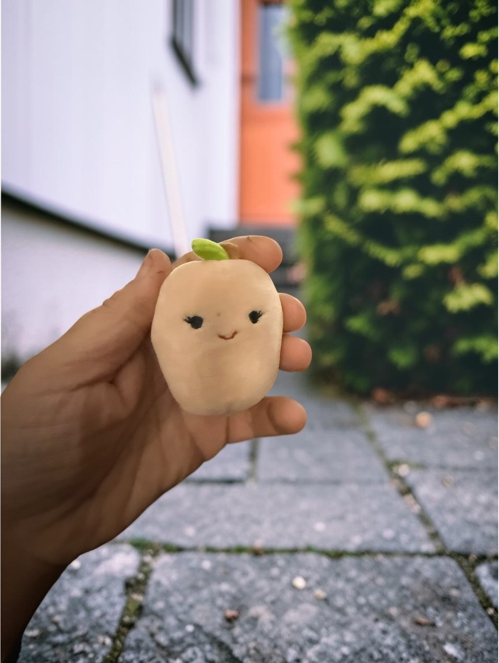 Squishmallows Garnet Peach Fruit Holiday Mini Plush